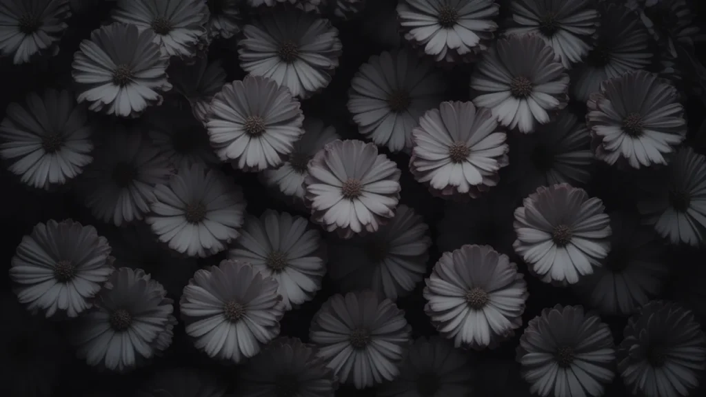 Black flower background